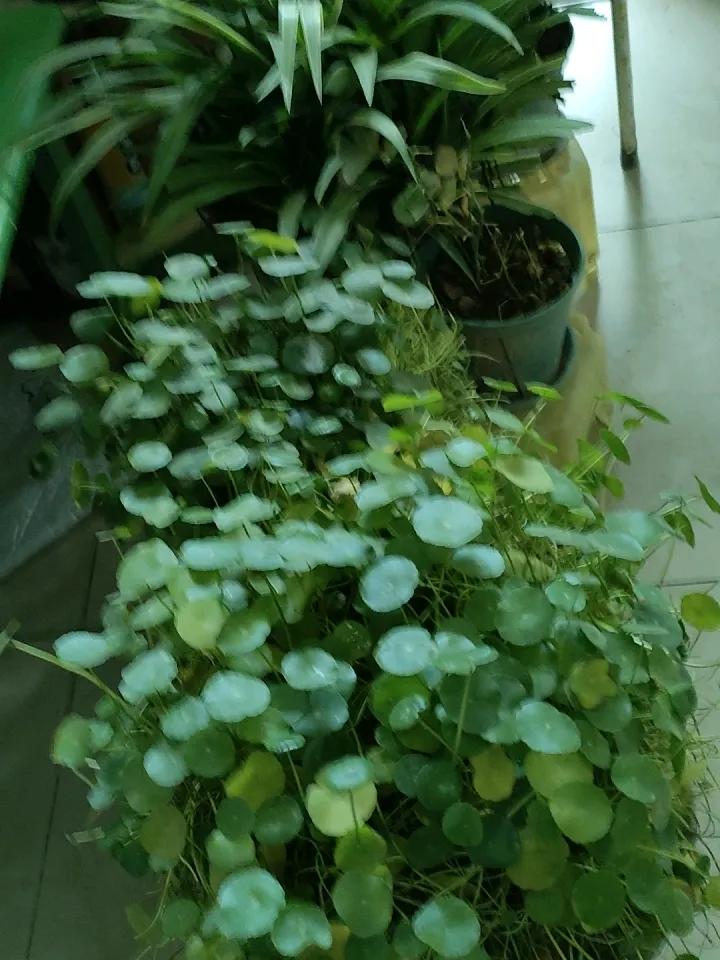 前几天整理旧照片，翻到二十岁出头和朋友在夜市撸串的合影，照片里的人笑得没心没肺，