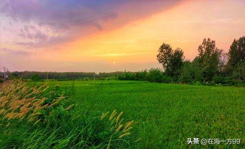 从60岁到65岁，再到70岁……索要养老金的门槛是越来越往后推了。不是心甘情愿，