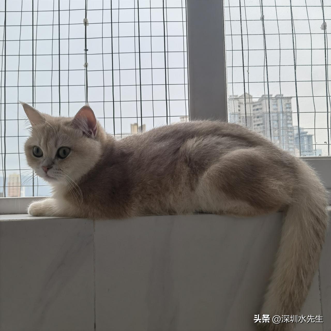 人这一生，必经历的四层境界：从慕强、慕真，到慕觉、慕空。
 
人到一定年纪终于明