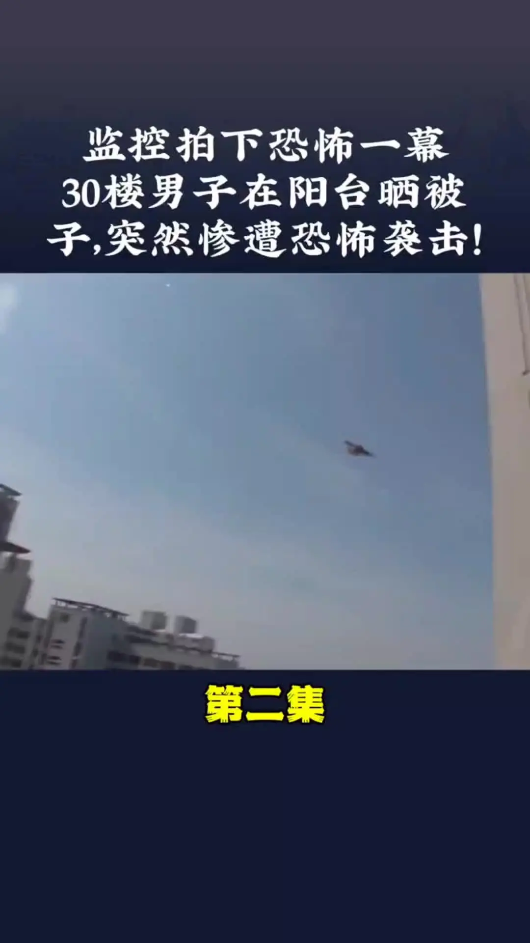 动物的迷惑行为