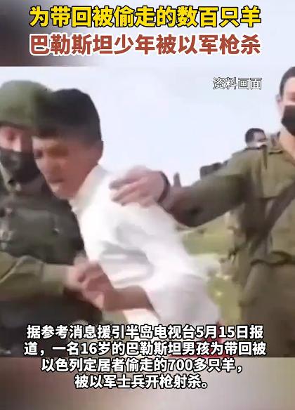 巴少年为带回被偷走的羊被以军枪杀，看到这样的新闻，既令人震惊，又让人无奈。以军偷
