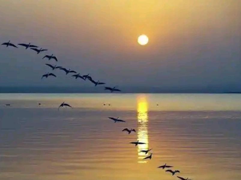 ＃你身为农民，你最怕的是什么＃
    我身为农民靠天吃饭，最怕自然灾害，我们农