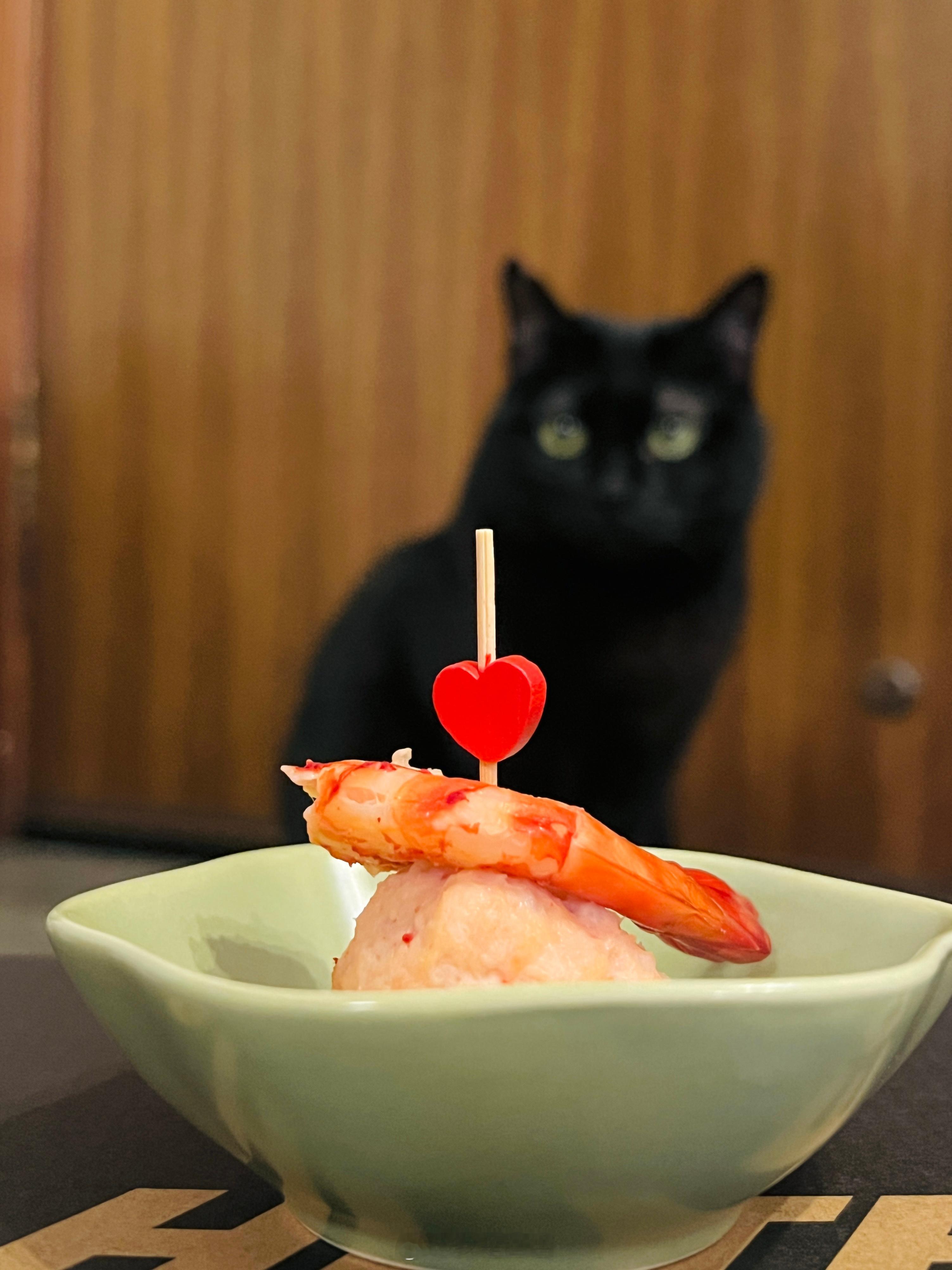 吃了兩天才吃完，小食怪阿蝦的生日餐#第六年##貓們健康平安##蝦蝦不可以太可愛#