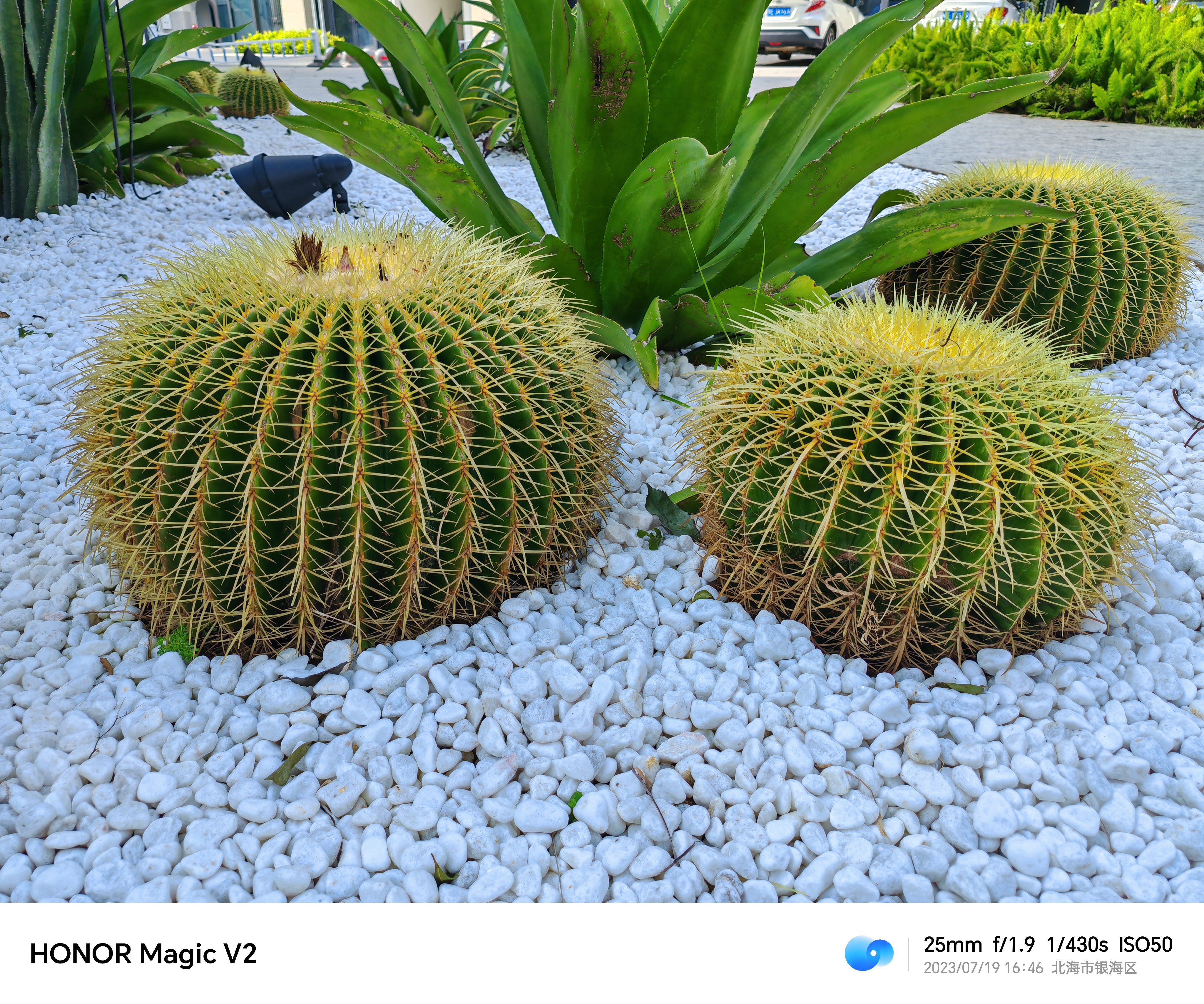今天用#荣耀MagicV2# 和苹果#iPhone14Pro# 随手拍了几张对比
