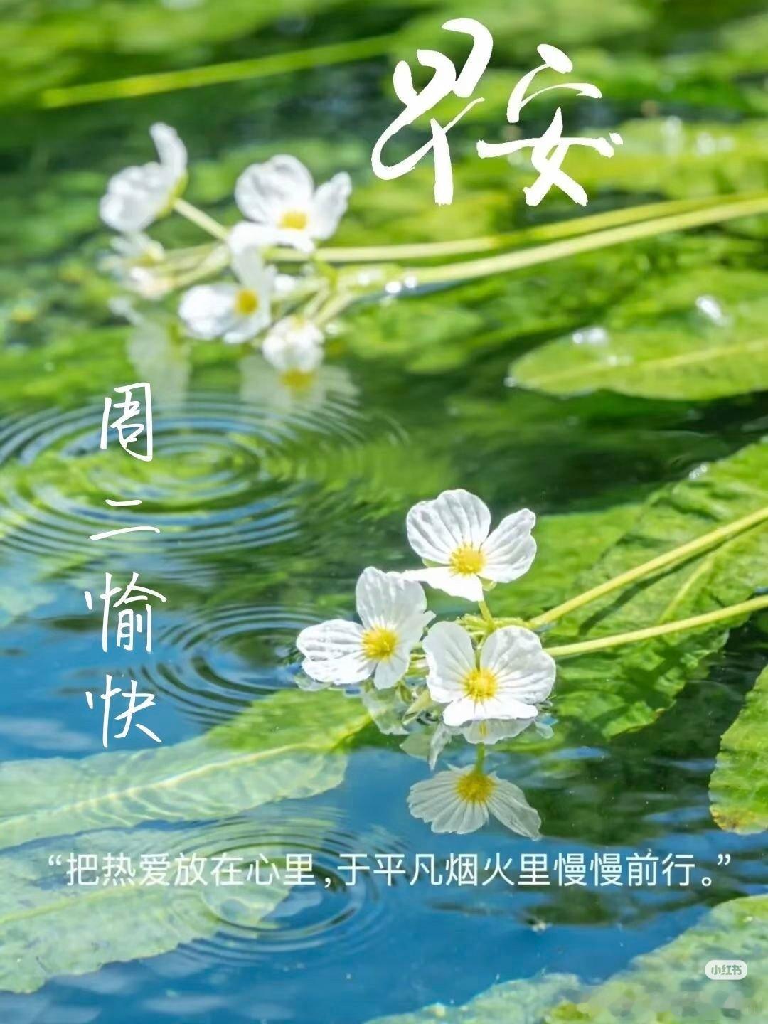 一堤烟柳万丝柔情 舞台再大，自己不上台，永远是个观众；平台再好，自己不参与，永远