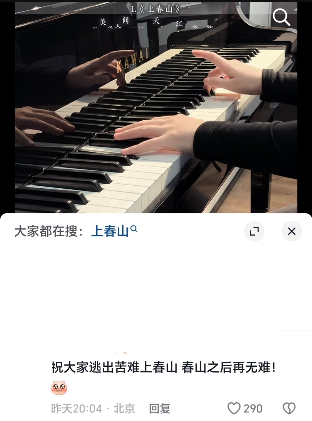 们小白鸽🥺🥺🥺“逃出苦难向春山，春山之后再无难” 