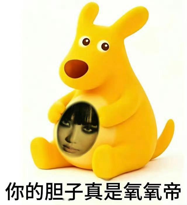 分享图片 ​​​