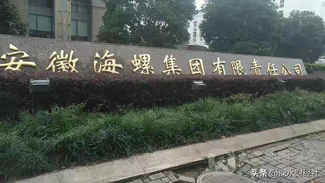 2026年3月，杉杉股份重整进入表决期。若通过，安徽皖维集团将以71.56亿入主