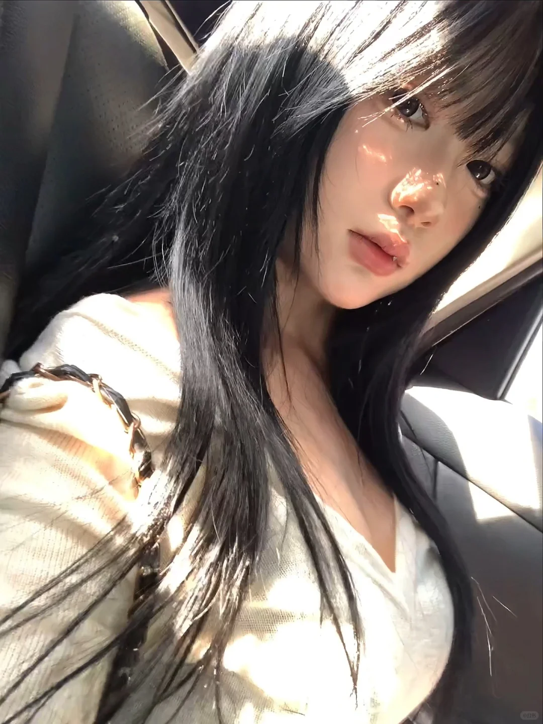我差不多就是这样的猫喵