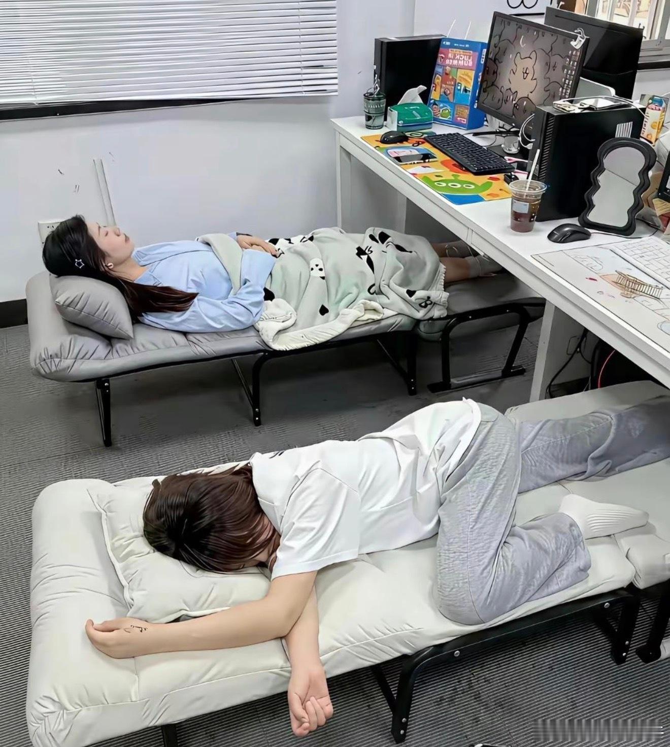 让你选择的话不会在哪里睡午觉 