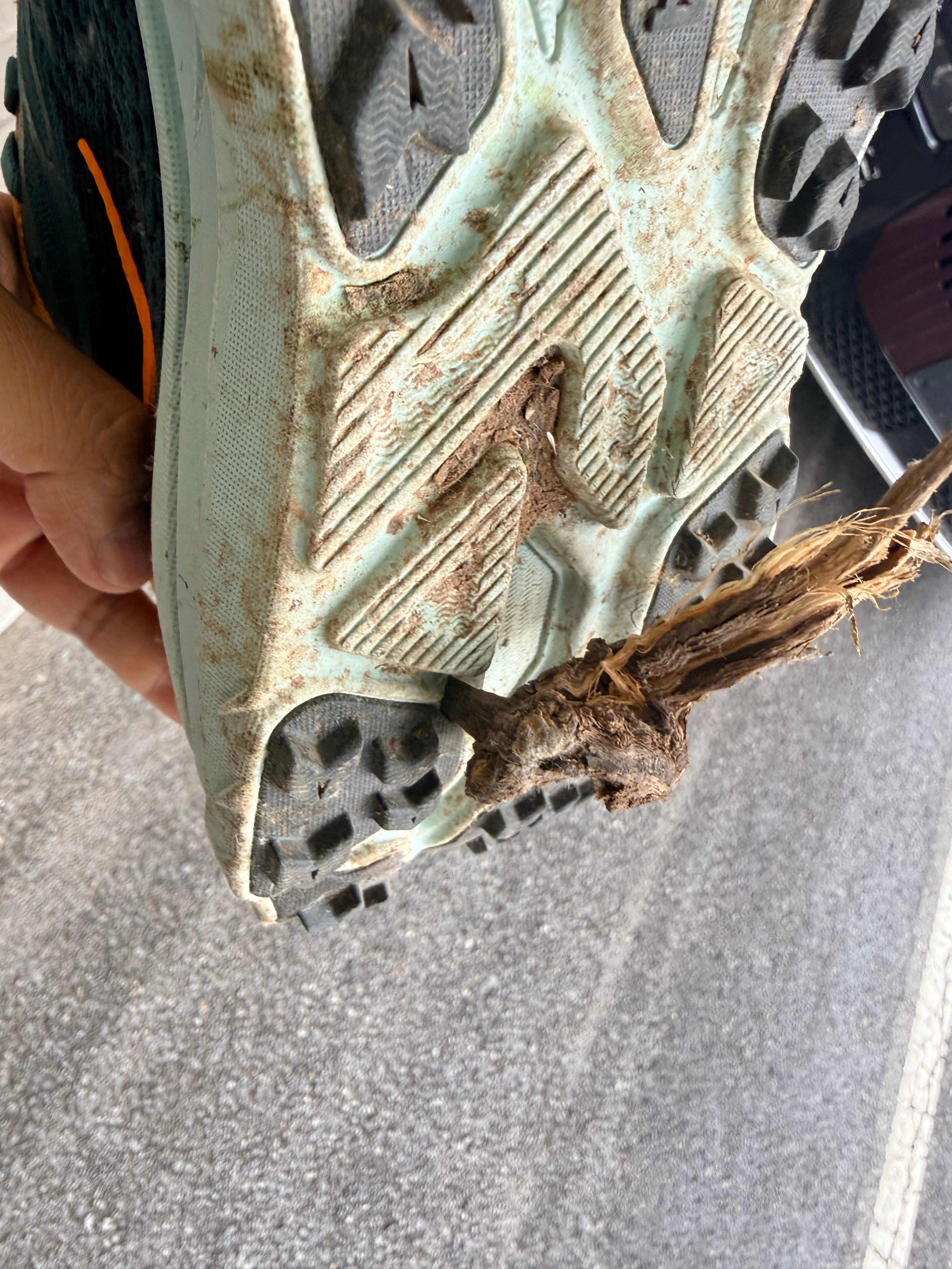 今天真玄学…下午手指被砸肿了，后来鞋子被扎了，晚上手指又被一颗锈迹斑斑的铁钉扎了