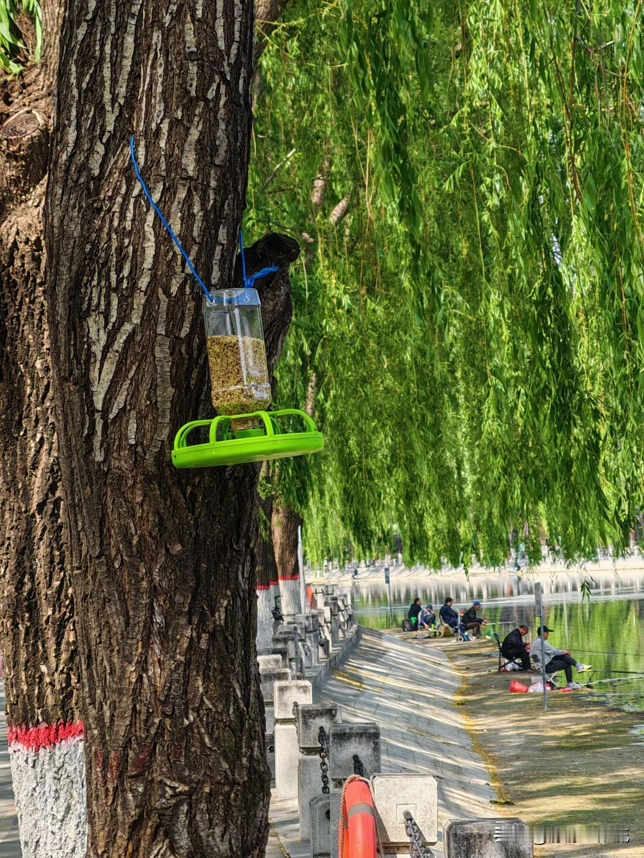 距离能催生美的遐想，一旦走近真实便会哑然失笑！有时候，“耳听为虚，眼见为实”未必