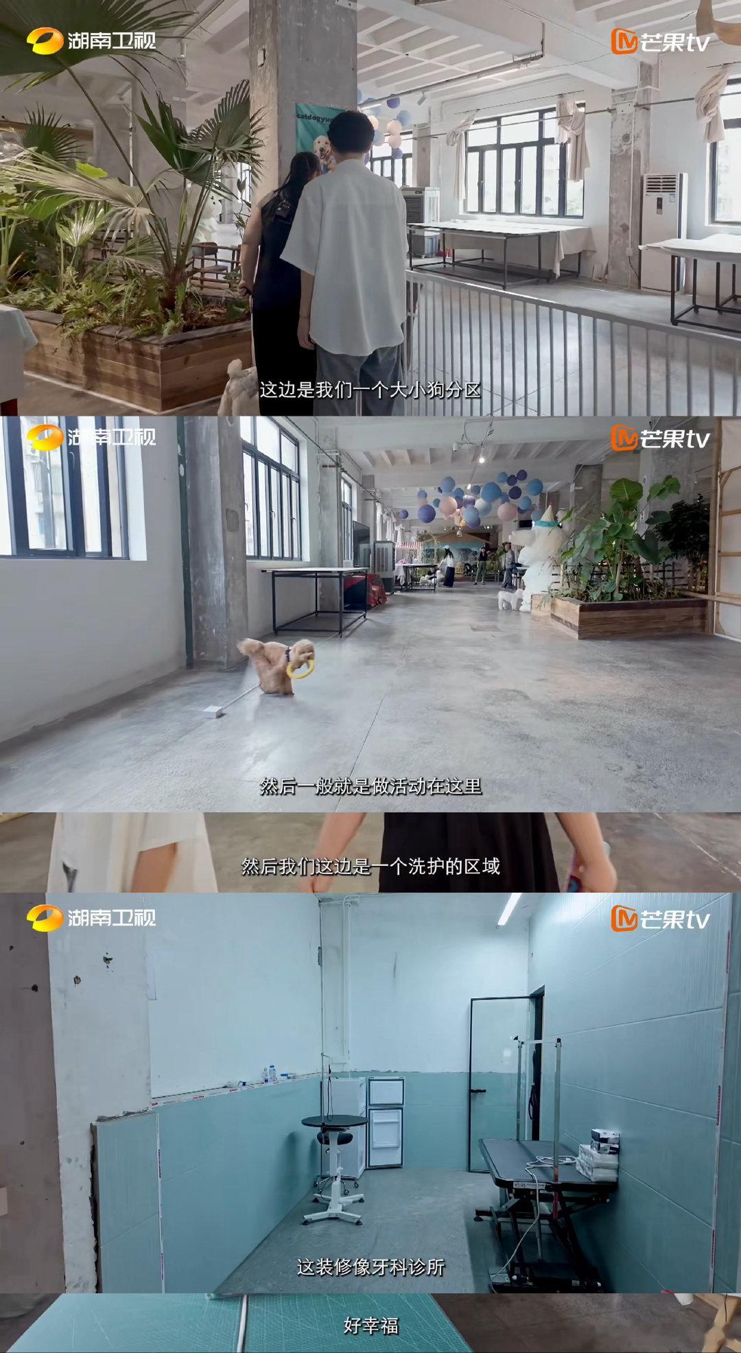 长沙全透明宠物厨房太超前了 寻访外省来湘年轻人纪实录你好湖南 你好湖南 得益于长