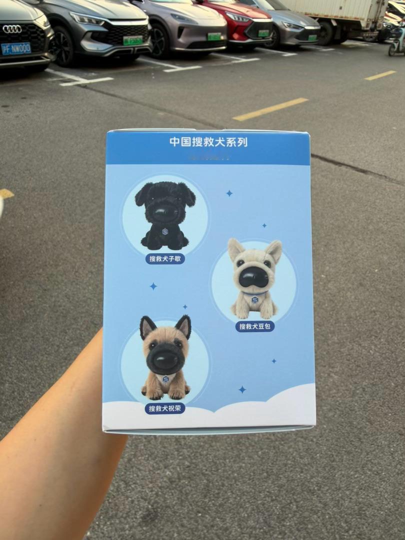 给卷宝续证，还送了一个盲盒太可爱了质感非好 