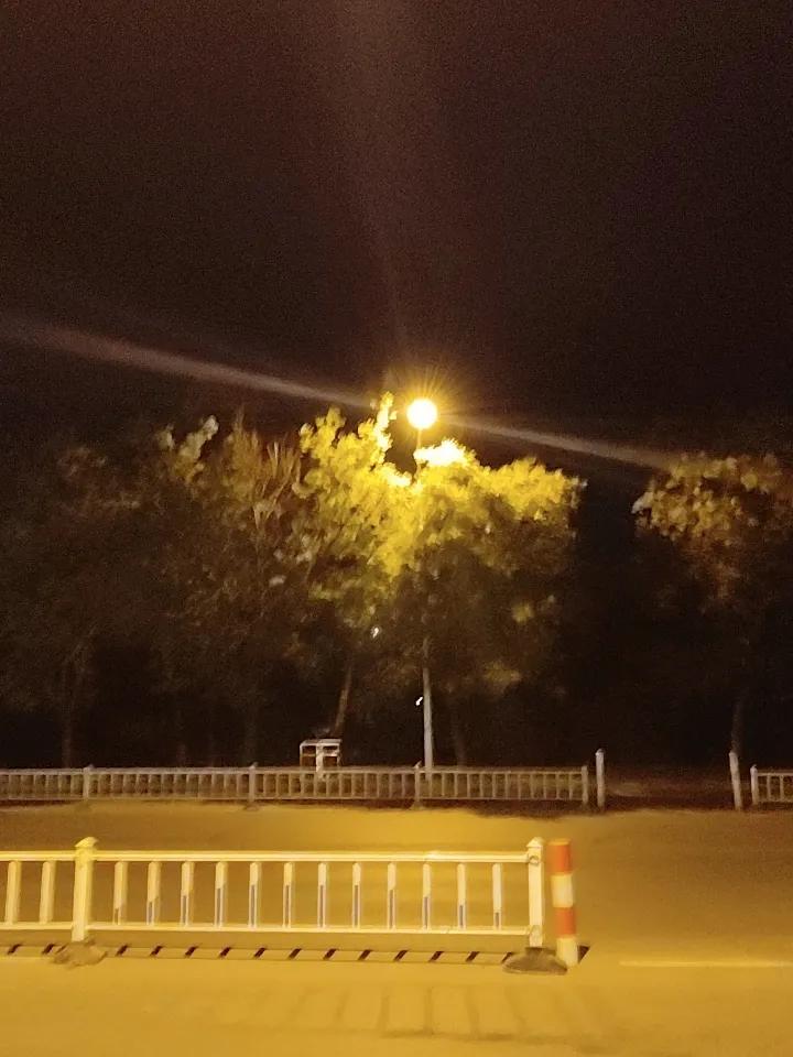 今天晚上说了好多的话，听了好多的话，我感觉自己又重活新生了。唉，从今往后，我一定