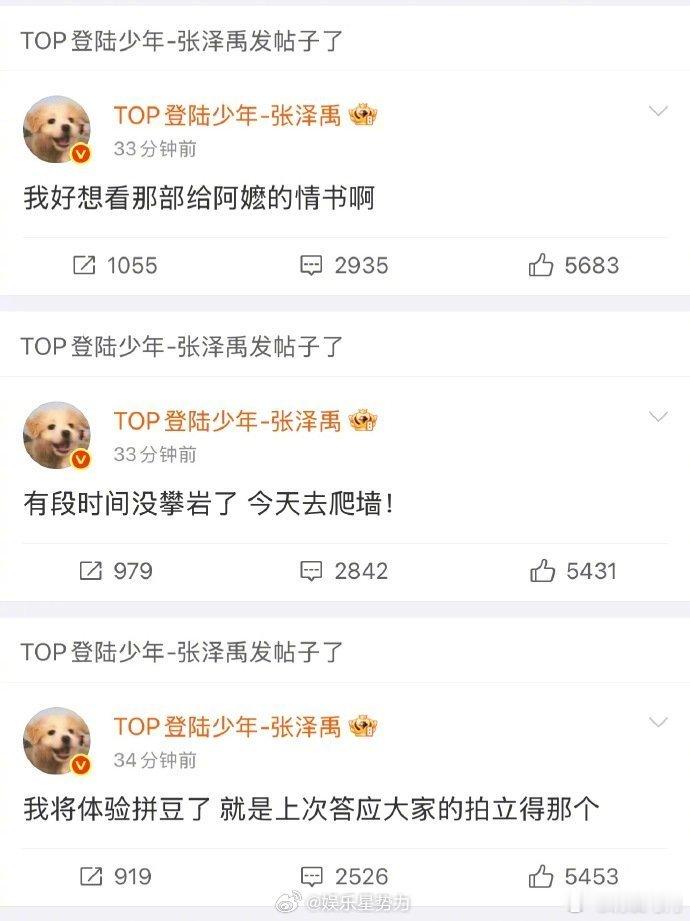 张泽禹想看给阿嬷的情书张泽禹别犹豫了，快去看这部年度催泪弹！关于等待、守护和善意