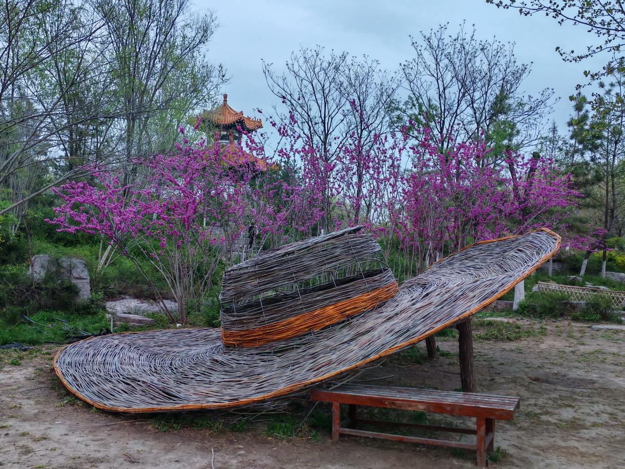 美丽东营东营文旅 东营