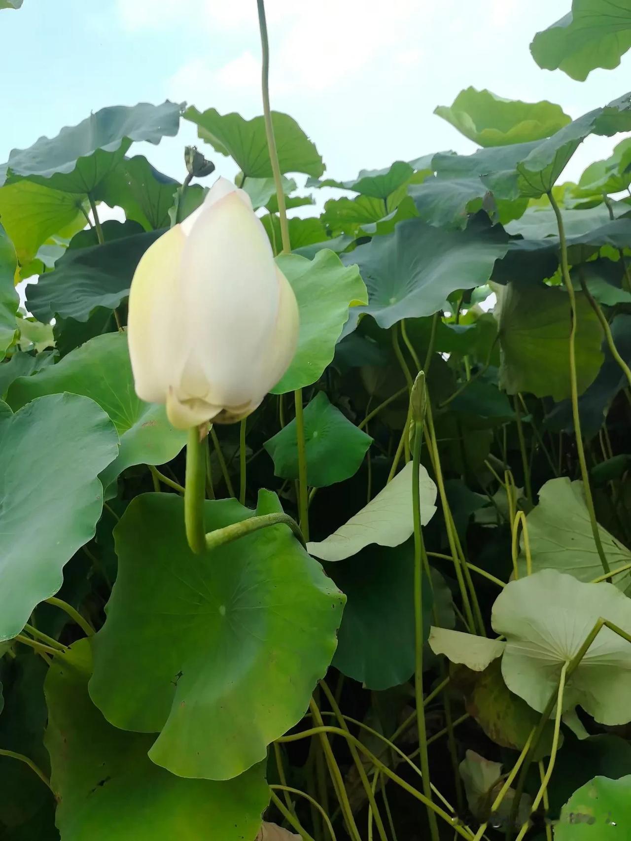 现实版夫妻共患难！
妻子坠井丈夫纵身一跳。
网友：这才是最动人的相守。
近日，