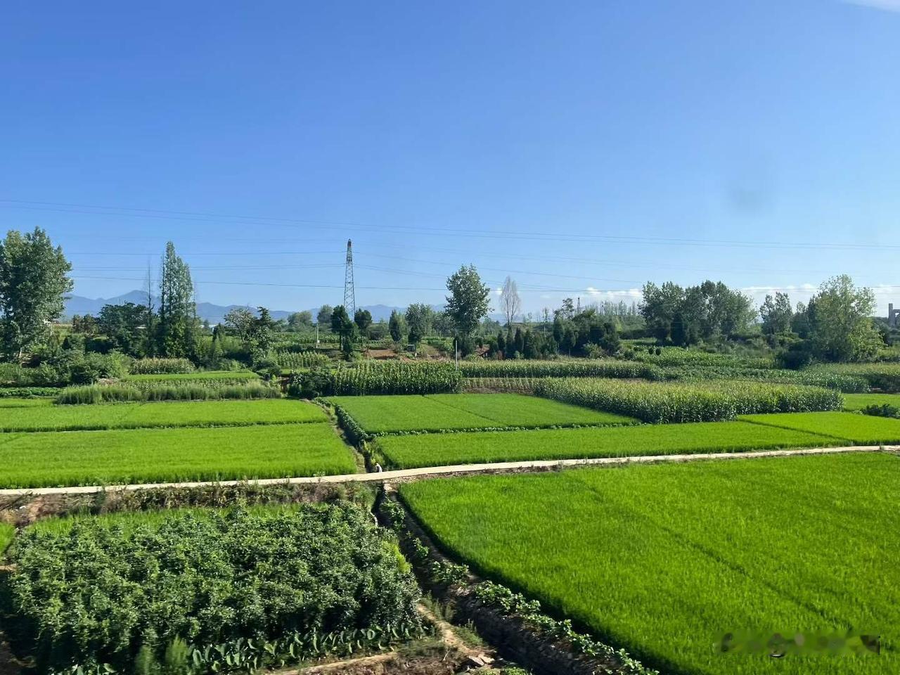 动车🚄从成都前往北京途中，一路风景如画。
图文原创：林姐姐
夏日生活打卡季