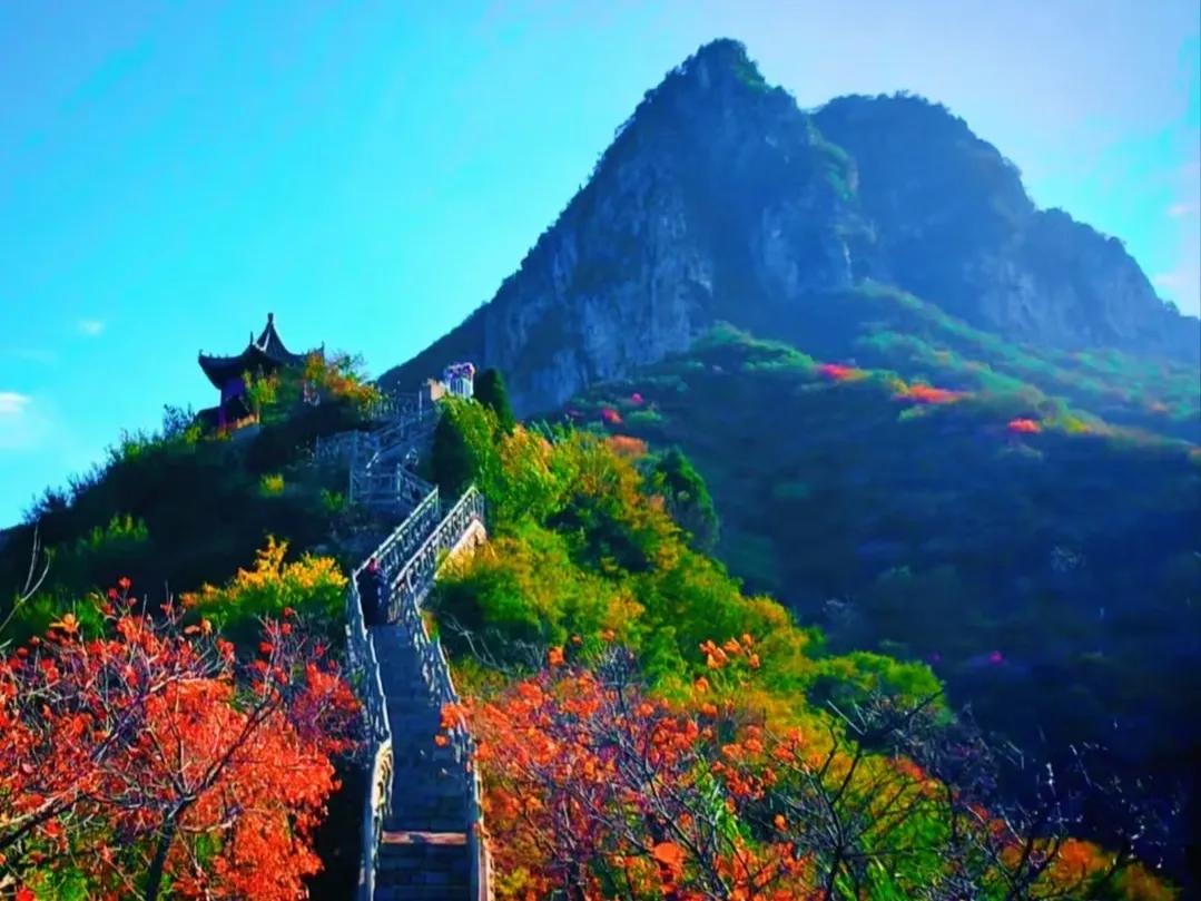 公园美丽景随拍