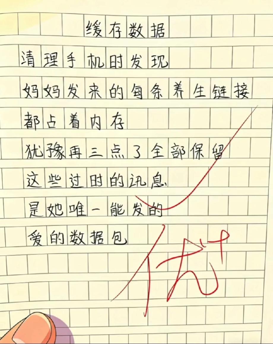 小学生作文《缓存数据》火了！短短几行字，看哭无数网友