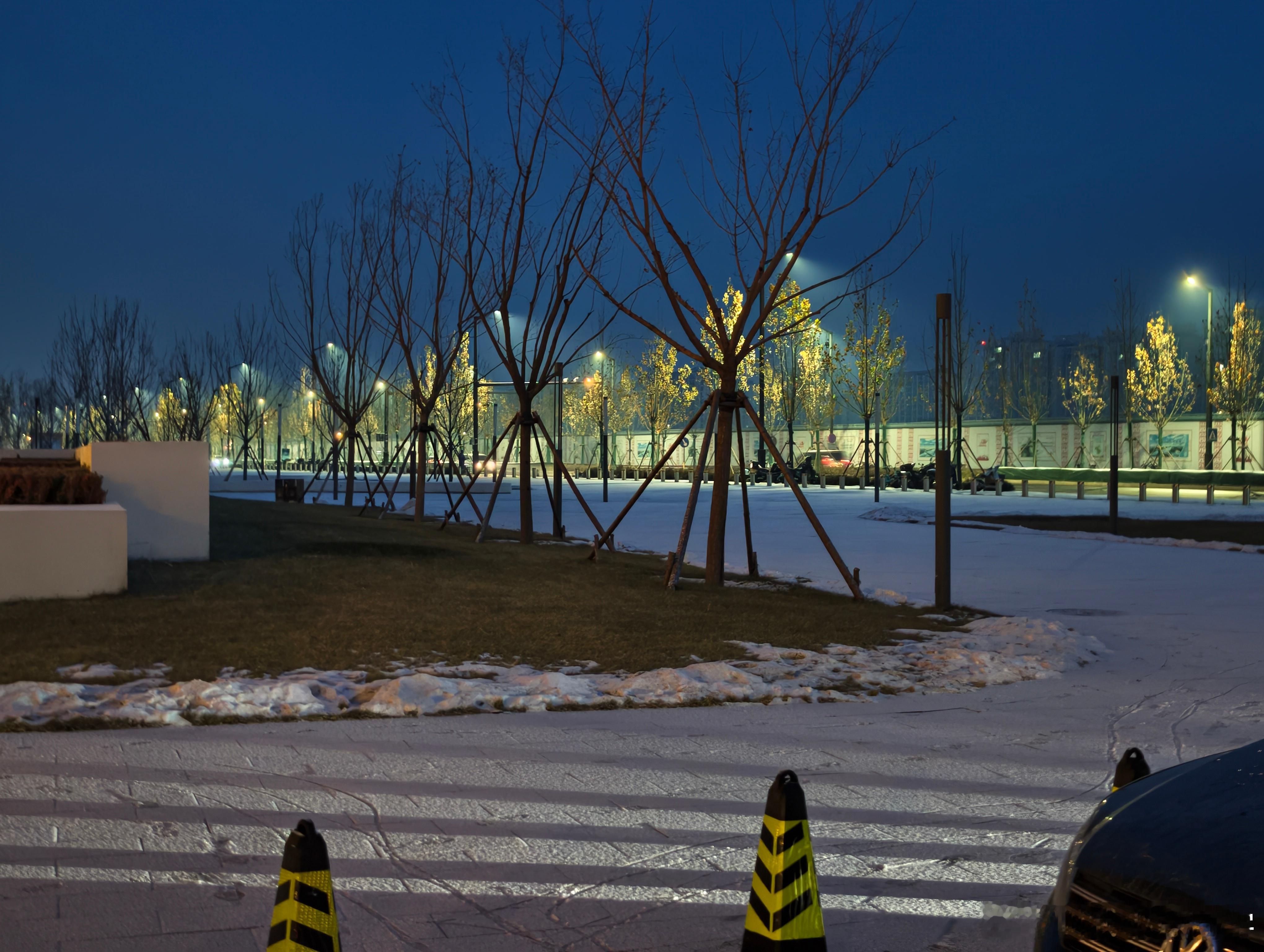 北京下雪啦！要不是着急走我感觉我能堆个雪人… 