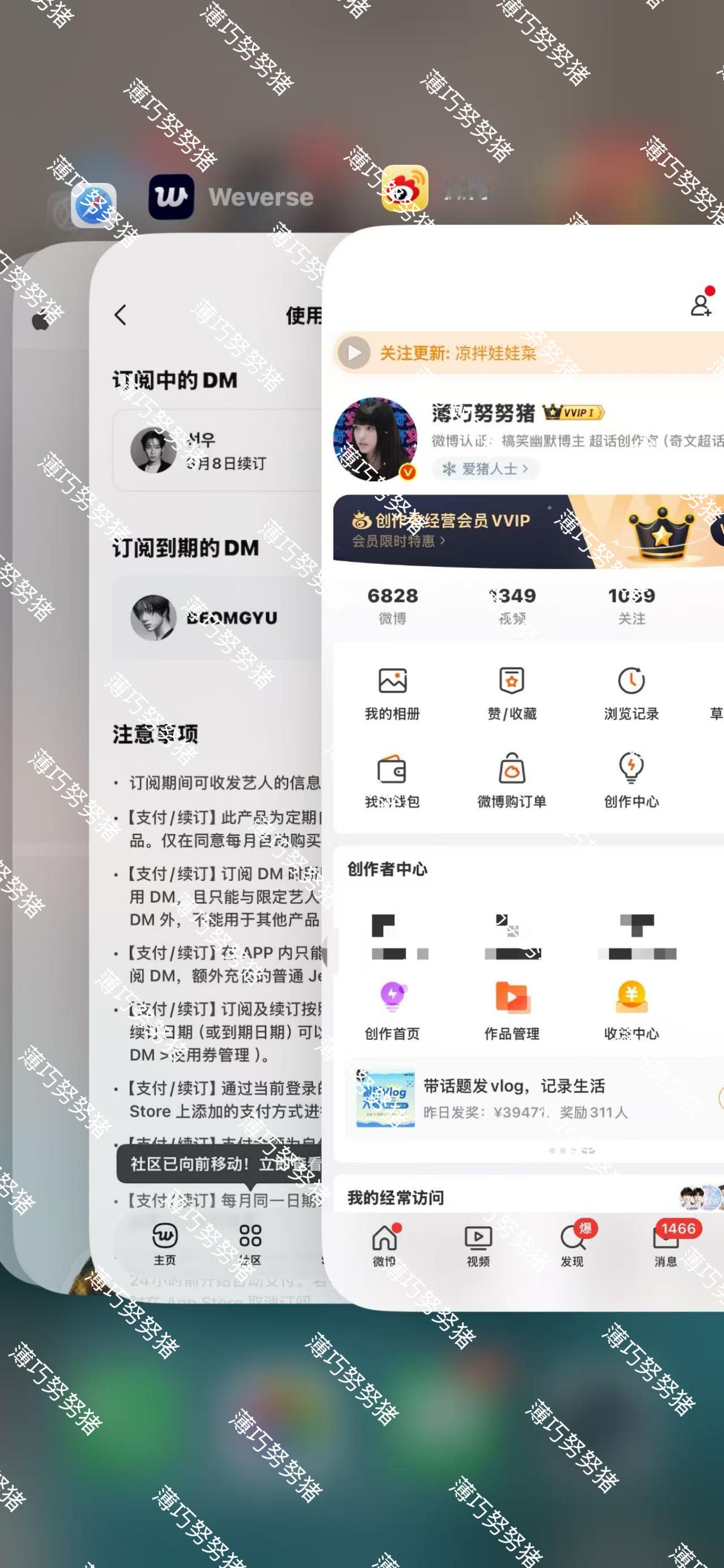 八月dm审核 