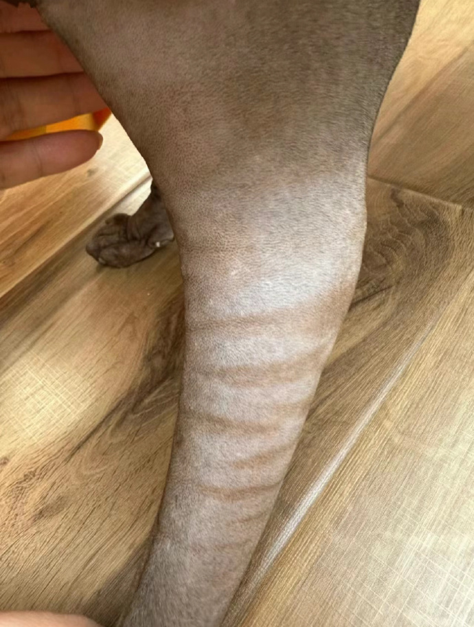 23岁，生完孩子的我破破烂烂。。。 