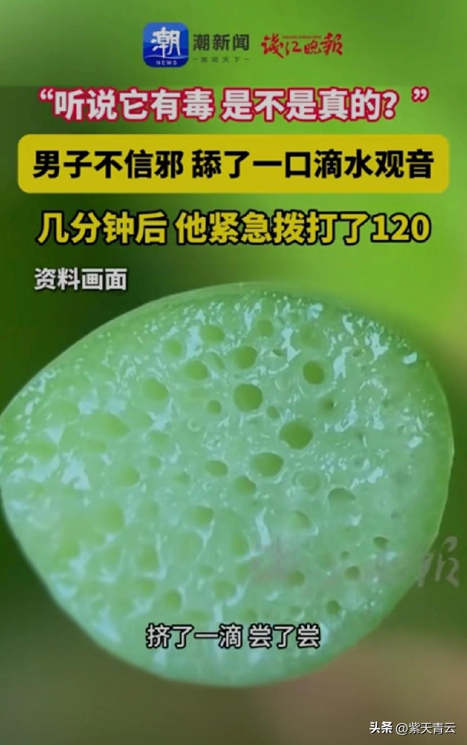 明知道有毒，
还真跑去试毒[捂脸][捂脸][捂脸]
人才呀[赞]