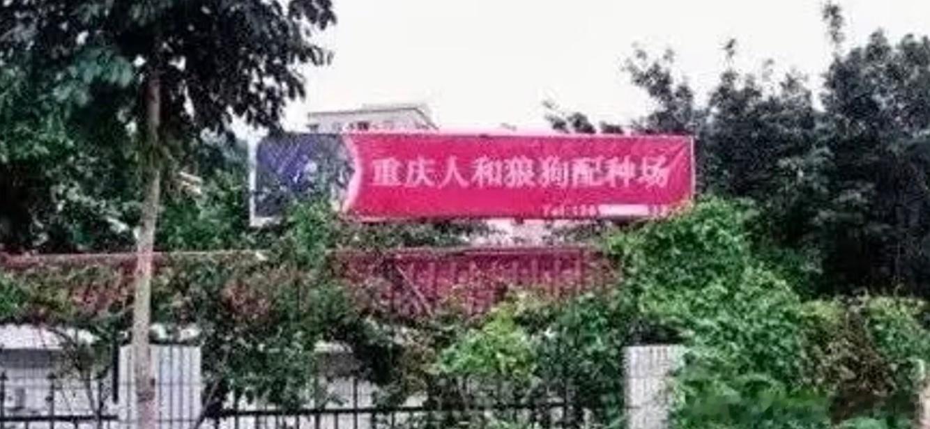 想参观 
