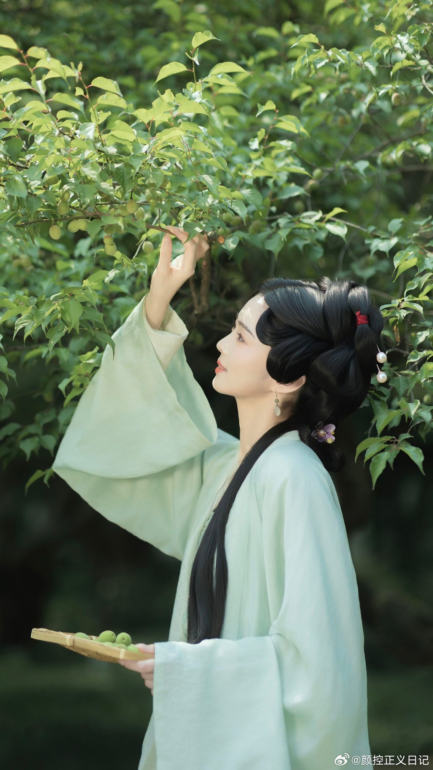 写真摄影日记 温婉 