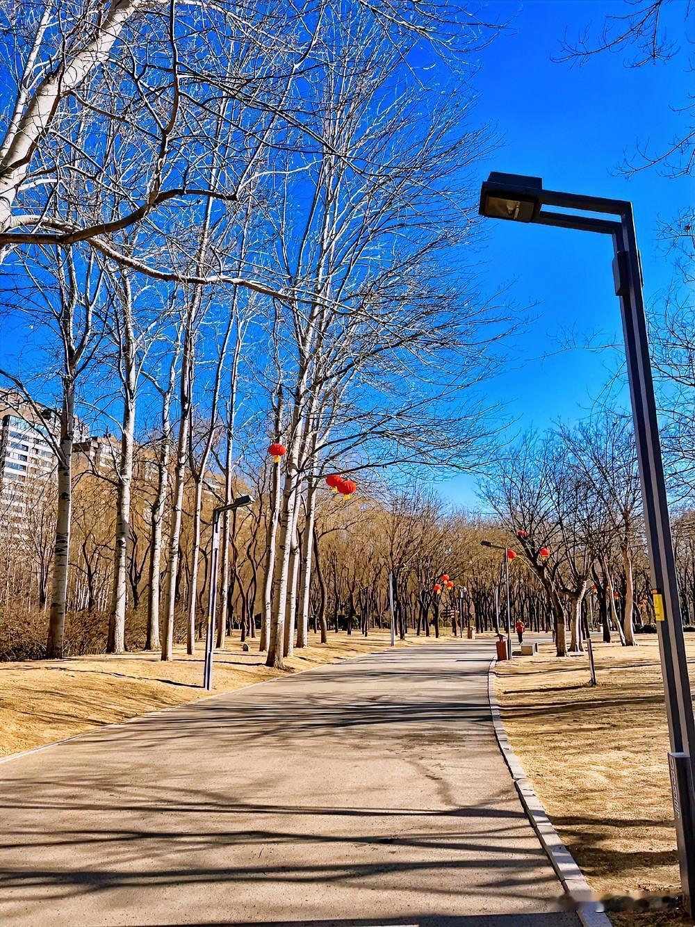 有人说：
独自跑步的人，没有一个是省油的灯！
要么骨子里天生就有狼性，
要么就是