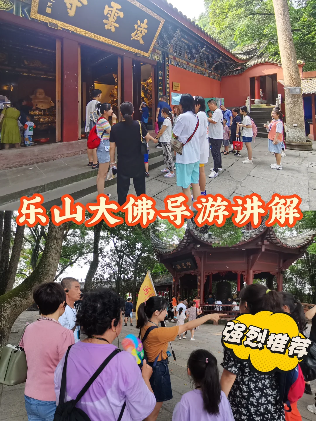 🔥乐山大佛讲解｜可约当天！登山/船游