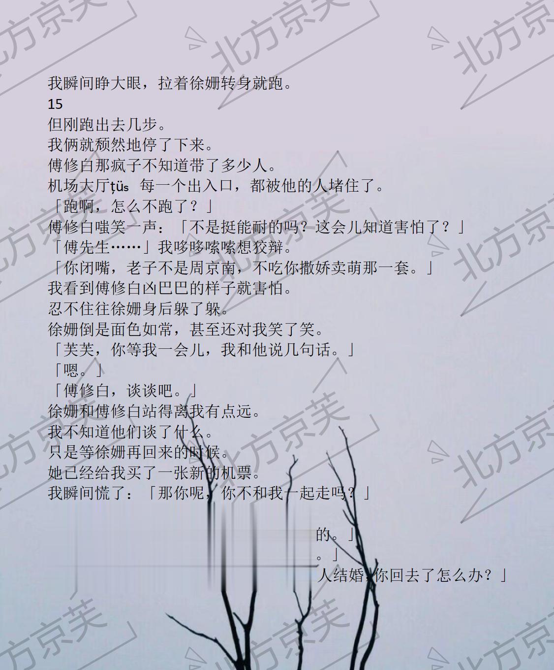 书名《北方京芙》  超长版，原文已完结周京南江以芙结局完结完整版配享太...