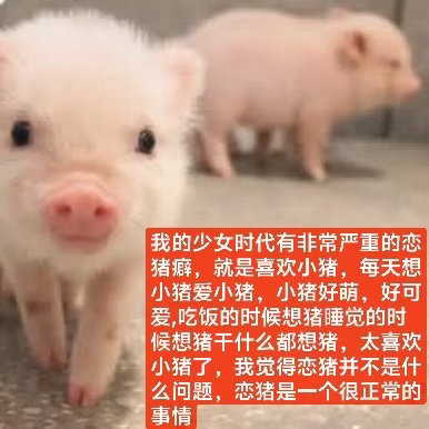 分享图片 