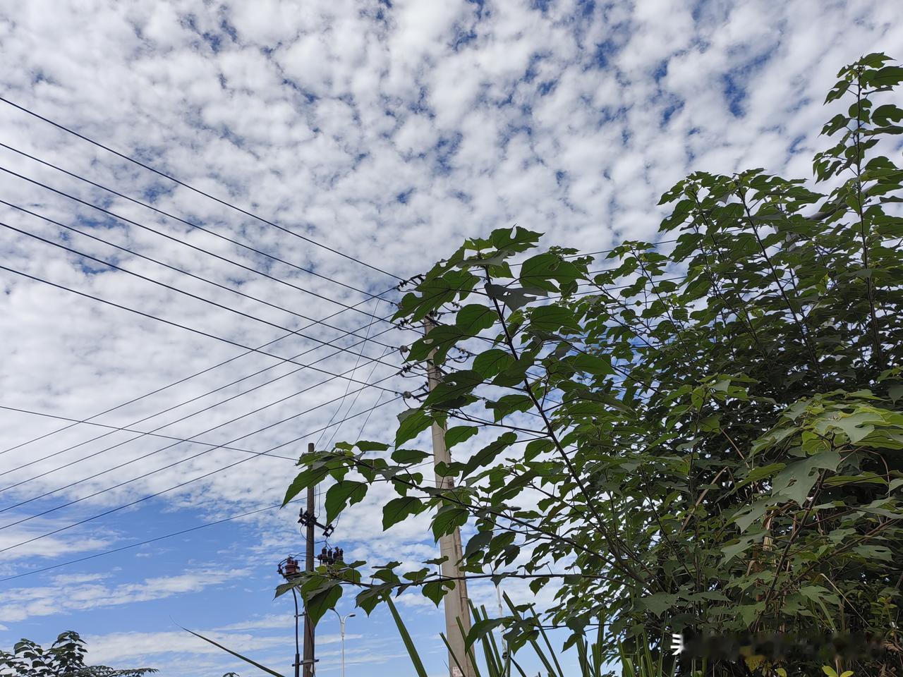 今日天气真好啊，跟我的小恐龙来张合照[呲牙][呲牙][呲牙]顺便吃个真正的路边摊