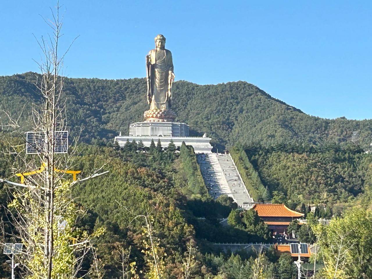 今天甲流第四天，高烧已退[祈祷][祈祷][祈祷]