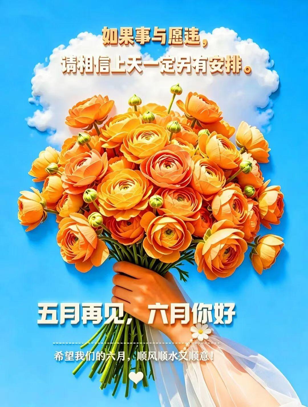 ⛅· 𝕙𝕖𝕝𝕝𝕠 𝕛𝕦𝕟𝕖 . ⋆︒ 🌼
👋告别五月的忙碌