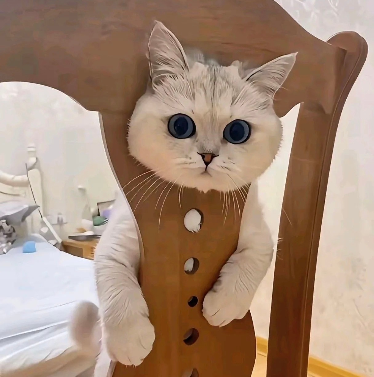 好可爱，感觉像穿上了一件衣服 ​​​