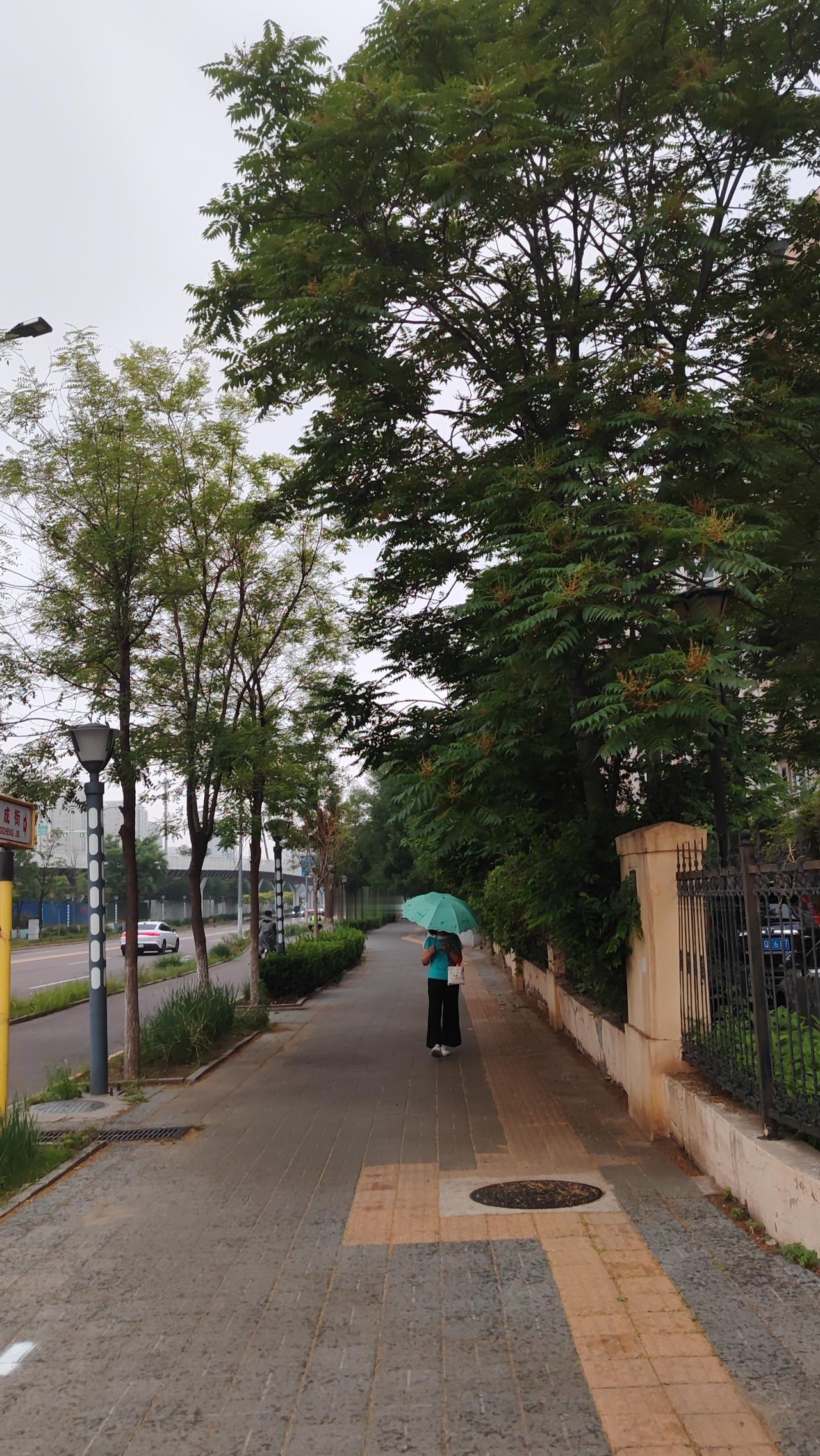 真正的成熟，是学会了与自己相处，与孤独和解。在独处的时光里，沉淀自己，提升自己，