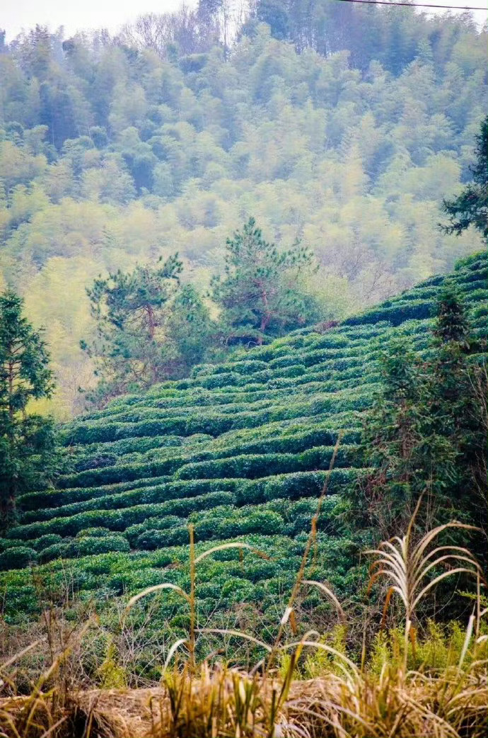 安徽·六安，大别山北麓的小村庄，岁月平淡，惊艳了时光。 ​​​​