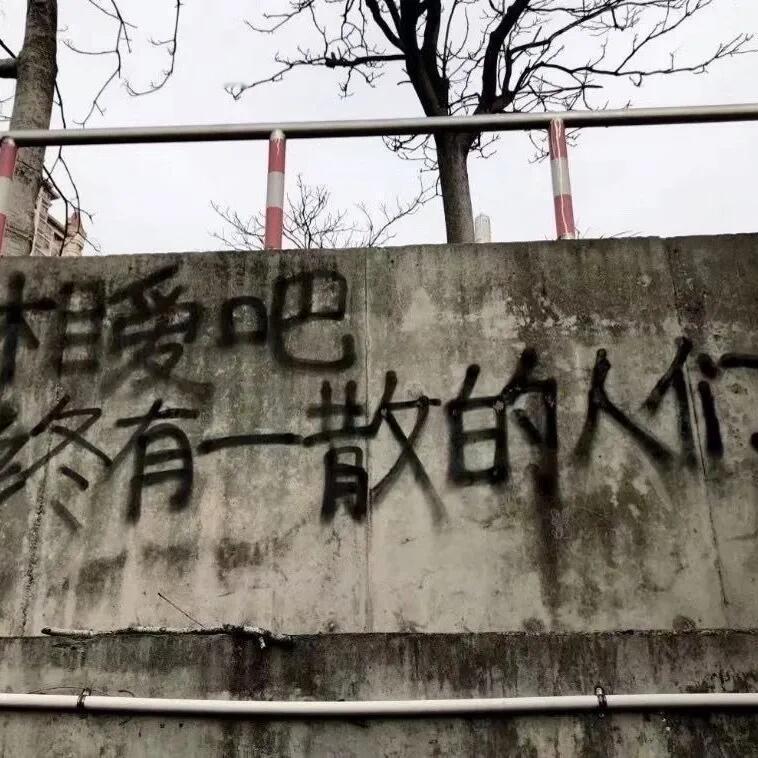 你来时冬至，但眉上风止开口是“我来得稍稍迟”大抵知心有庭树，亭亭一如你风致 