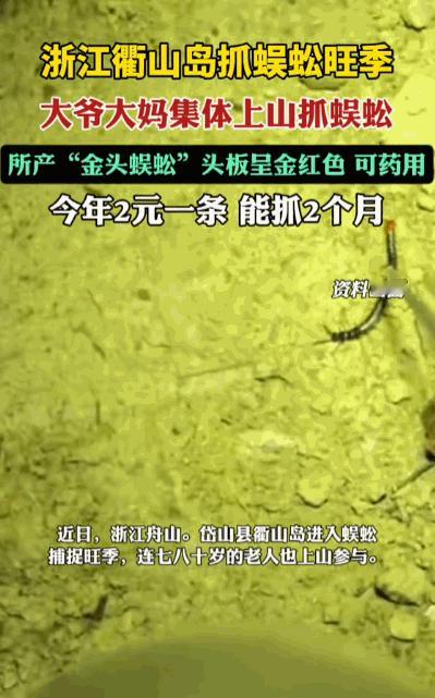 靠山吃山，靠水吃水！据媒体5月6日报道，浙江舟山衢山岛的春日山野，藏着当地人独有