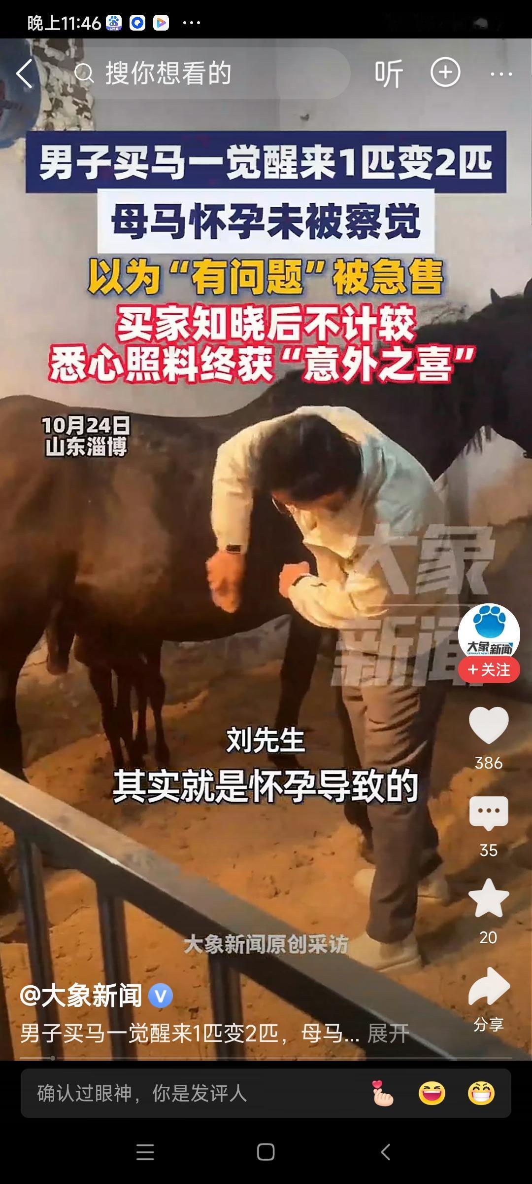 奇获
 
昨购良驹系厩前，
晨来惊喜见双骈。
莫非天眷诚心事，
一马成双意自绵。