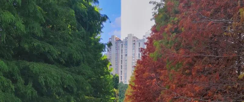 上联：走东南西北路；
下联：赏春夏秋冬景。