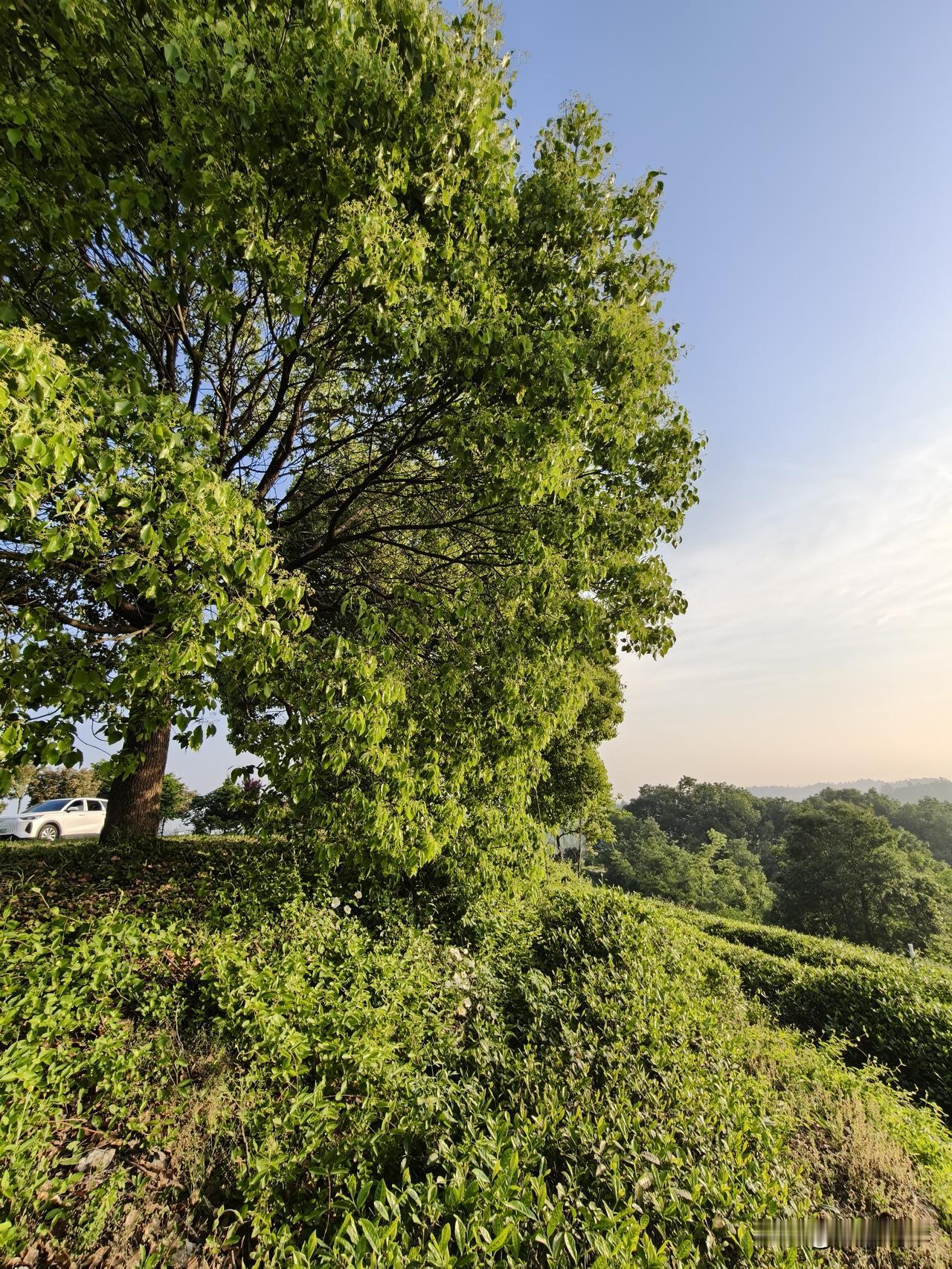 能分享一下你相册里的风景照片吗中国传统文化村落新县西河湾古村欢迎大家[玫瑰][福