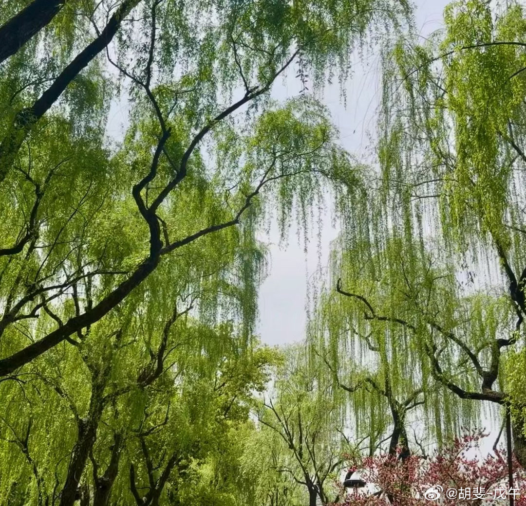 所有的投资第一公理：自上而下 