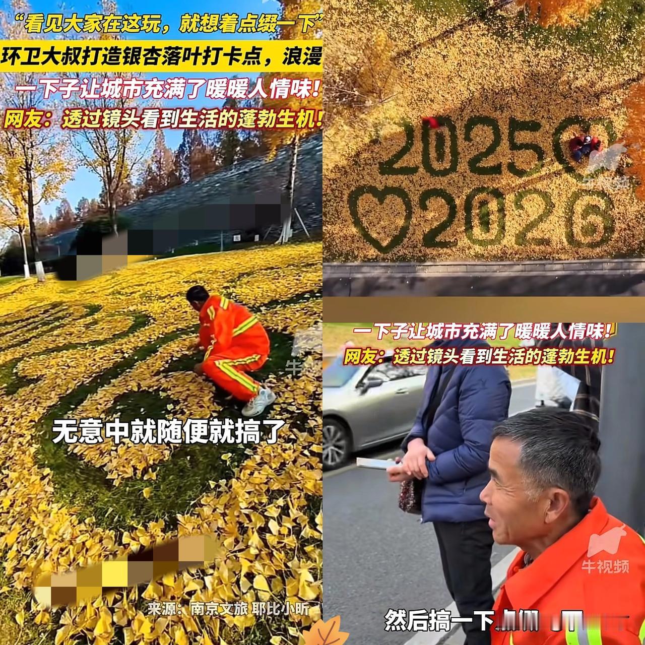 果然不能小看了大爷！
南京，环卫大爷看着草地上掉落的银杏叶，又看看时不时来这打卡