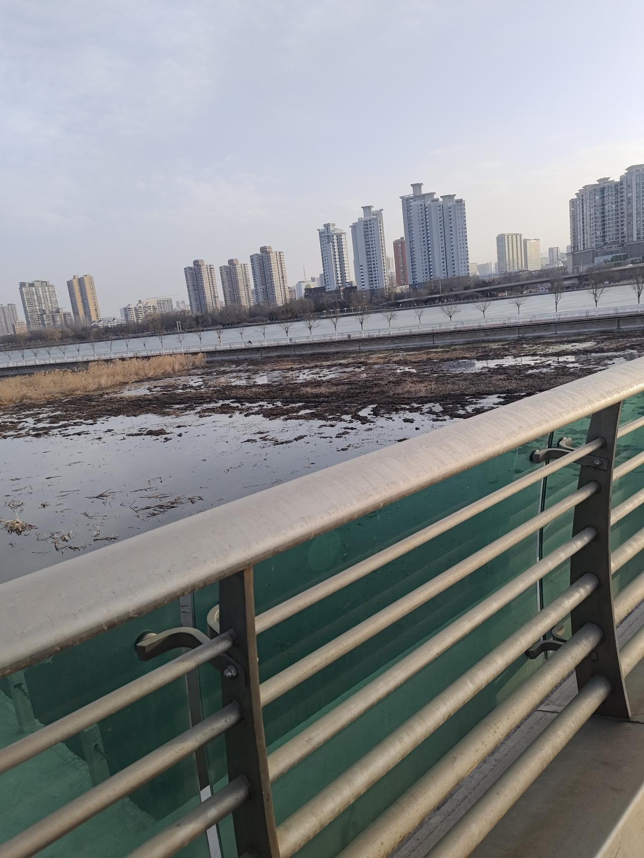 新年好礼来袭！参与活动，轻松集卡，红包拿不停！🎉

✨【活动玩法】

每天完成