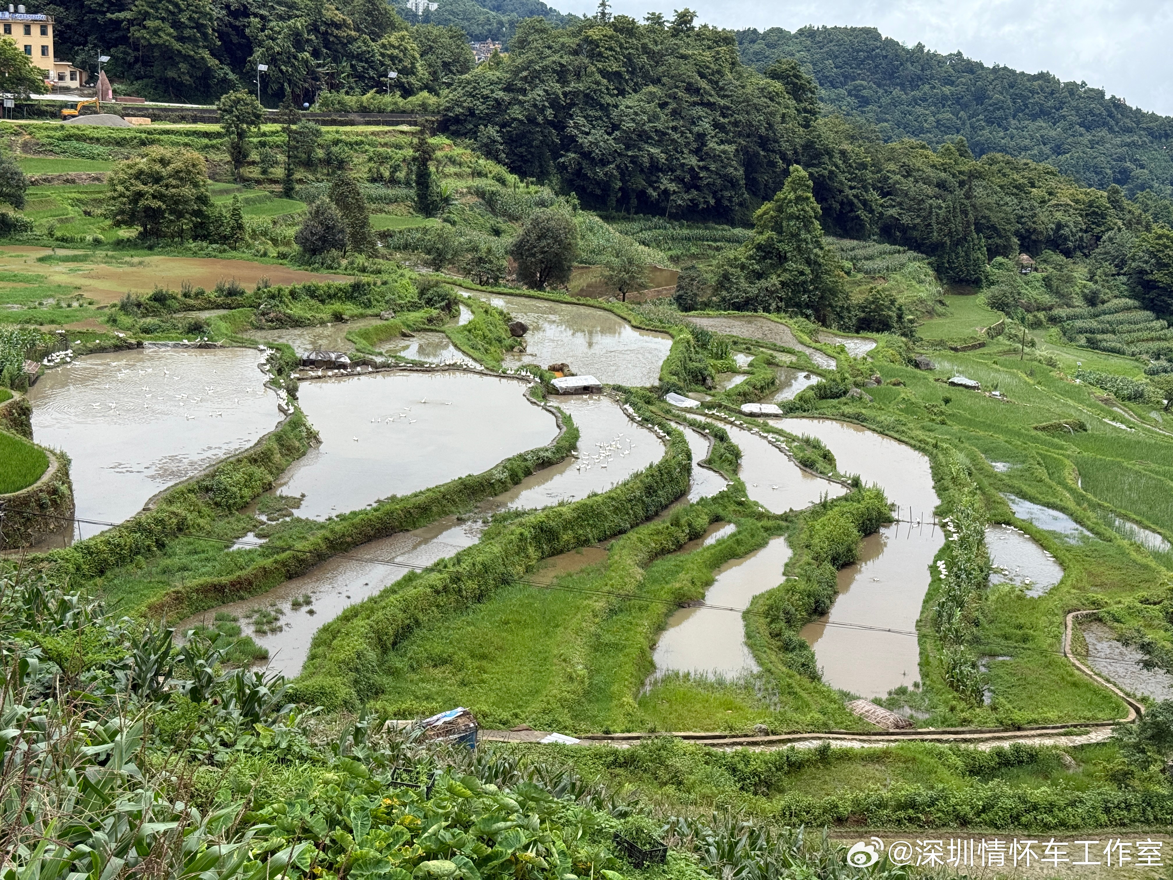 错峰出行，虽然来的不是很好的季节，满山绿油油，但是感受的空气真的是甜的，久违的松